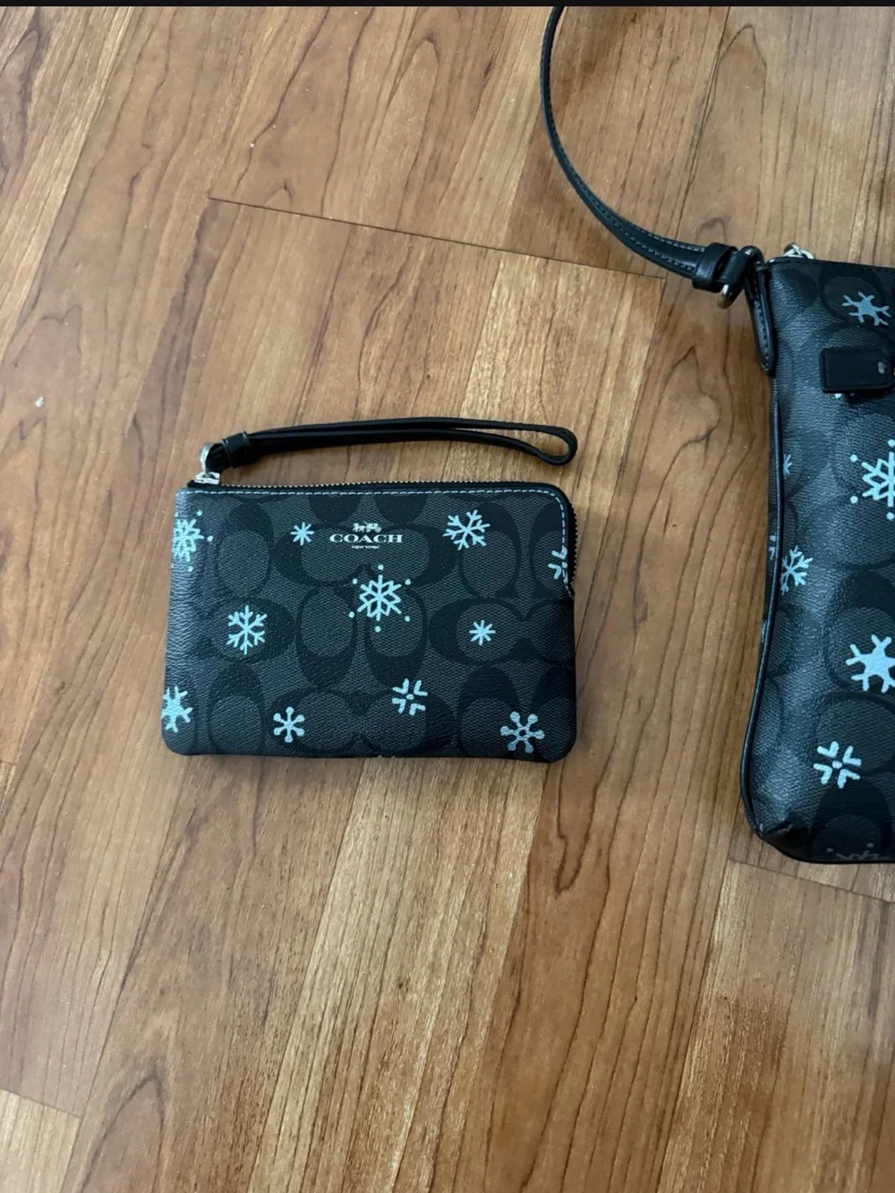Coach Black Crossbody with Light Blue Snowflake Motif